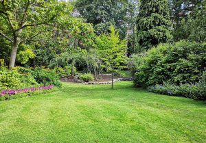 Optimiser l'expérience du jardin à Bourguignon-sous-Montbavin